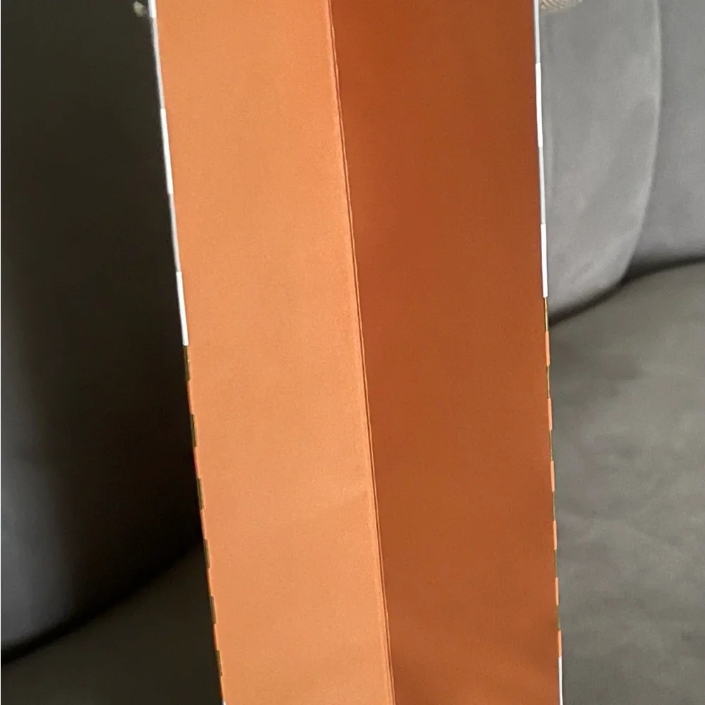 Louis Vuitton Empty Shopping Bag - Picture 3 of 7